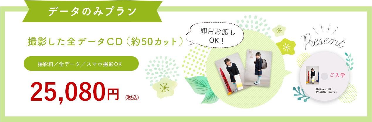データのみプラン