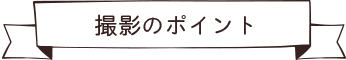 撮影のポイント